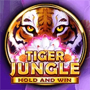 Tổng quan các chiến lược và phân tích cá cược thể thao tại queen99 win