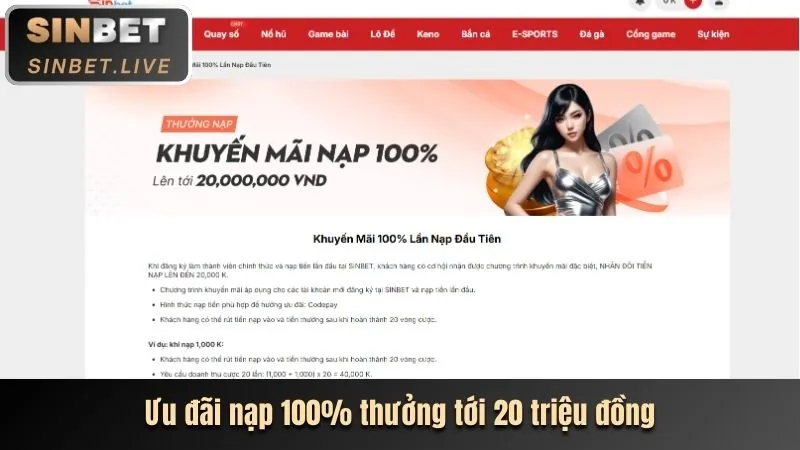 Hoàn Trả Cao Cho Tân Thủ